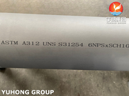 ASTM A312 UNS S31254, 254SMO الأنابيب المزدوجة من الفولاذ المقاوم للصدأ بدون خيوط لمصانع النفط والغاز