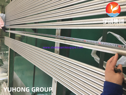 ASME SA213 TP310S 1.4845 أنبوب مبادل الحرارة السلس من الفولاذ المقاوم للصدأ