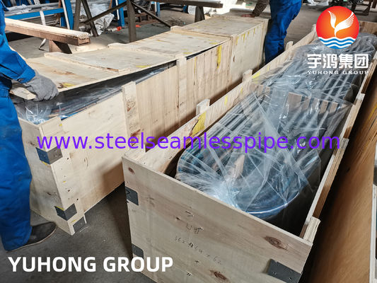SA213 TP316L (UNS S31603, 1.4404) أنبوب مبادل الحرارة U ينحني مع معالجة محلول ، مخفوق ومحفز