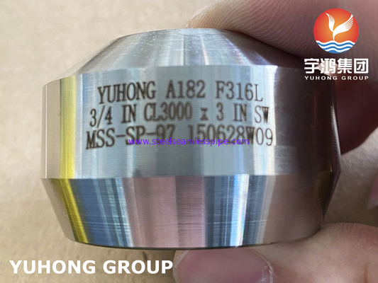 SS Weldolet A182 F316 / F316L منفذ الفولاذ المقاوم للصدأ