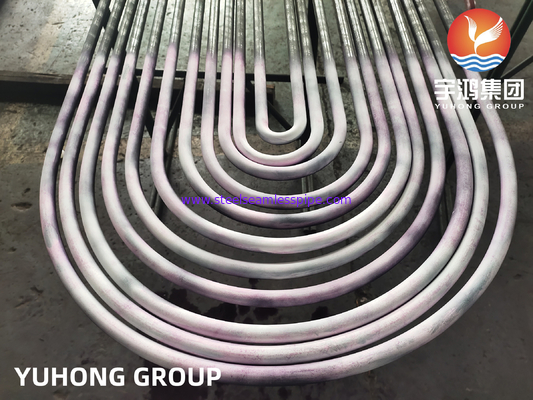أنبوب بدون خيوط أنبوب U Bend TP304/304L TP316L TP310S TP316Ti TP321/321H TP347 TP317 تطبيق مبادل الحرارة