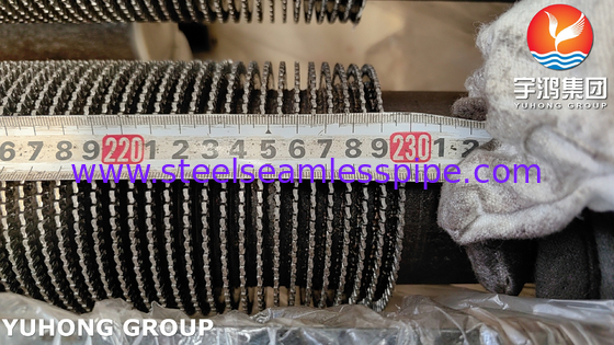 الأنابيب المزدوجة المزدوجة ASTM A335 Gr. P9 الألياف الفولاذية HFW مبادلة الحرارة أنابيب فين