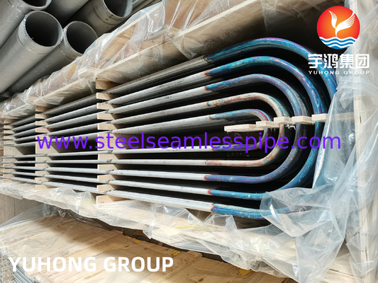 ASME SA213 TP316L أنبوب U Bend من الفولاذ المقاوم للصدأ لمبادل الحرارة وغلاية