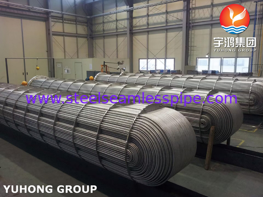 ASME SA213 TP316L حزمة الأنابيب المستقيمة في القشرة ومبادل الحرارة الأنابيب