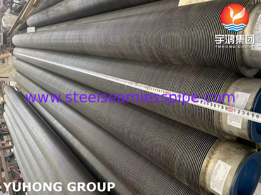 ASTM A376 TP347H S34709 أنبوب ذيل حلزوني من الفولاذ المقاوم للصدأ عالي التردد
