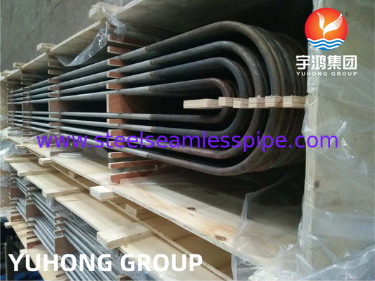ASME SA213 TP904L UNS NO8904 أنبوب U Bend من الفولاذ المقاوم للصدأ 19.05 MM X 1.65MM لمبادل الحرارة