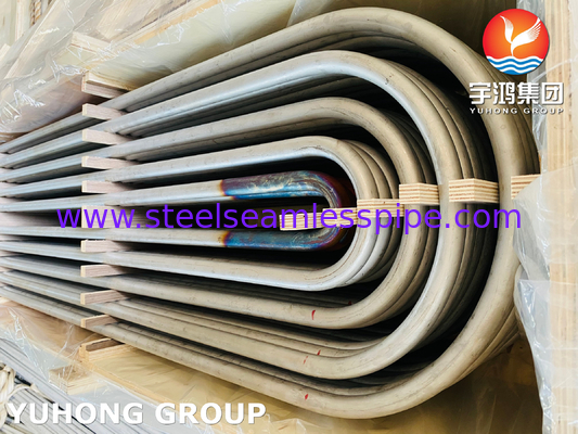 ASME SA213 TP316L 1.4404 أنبوب U Bend من الفولاذ المقاوم للصدأ بدون خيوط لمبادل الحرارة