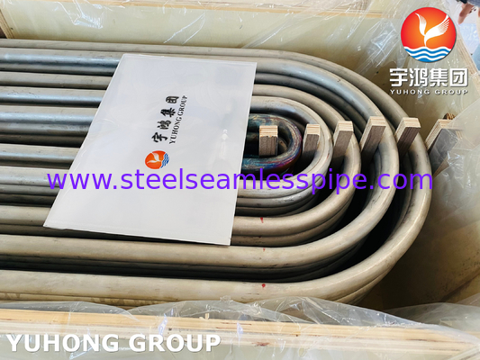 ASME SA213 TP316L 1.4404 أنبوب U Bend من الفولاذ المقاوم للصدأ بدون خيوط لمبادل الحرارة