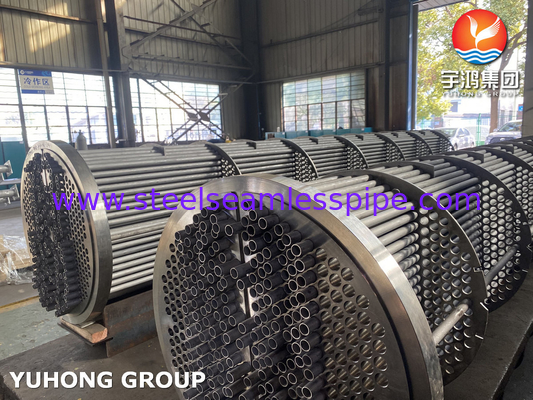 مجموعة أنابيب مبادلة الحرارة ، أنابيب بلا مسام من الفولاذ المقاوم للصدأ ASME SA213 TP316L ، صفحة الأنابيب SA350 LF2 CL1N