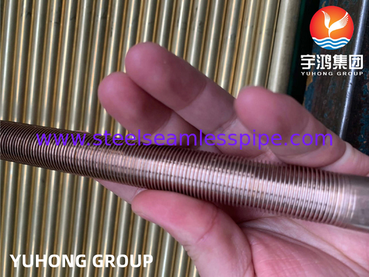 ASTM B111 C70600-O61 النحاس النيكل الفولاذ الأحد الأنبوب المنخفض