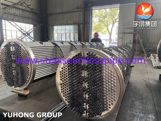 الصلب المقاوم للصدأ أنبوب U ثنائي بدون مسام SA213 TP316L حزمة الأنابيب للجهاز التجديدي Reboiler مصفاة النفط