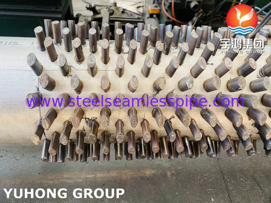 أنبوب ASTM A312 TP316L المزود بالشفرات مع ارتفاع قابل للتخصيص لأنظمة تبادل الحرارة المقاومة للتآكل