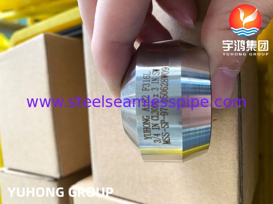 SS Weldolet A182 F316 / F316L منفذ الفولاذ المقاوم للصدأ
