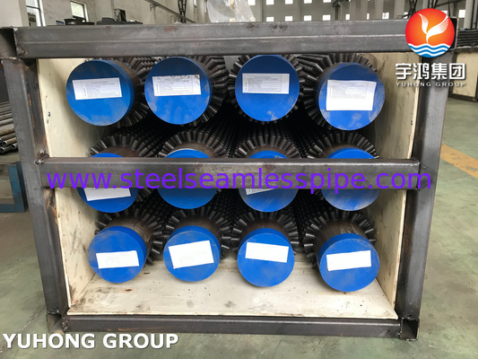 ASTM A213 T9 أنابيب من الفولاذ السليمي المزدوج، 13Cr Stud لمصافي زيت النخيل