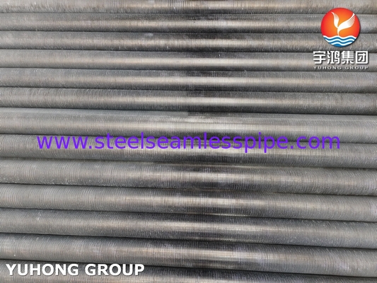 ASTM269 TP304 أنبوب بلا خيوط من الفولاذ المقاوم للصدأ أنبوب عفش مطرود لمبادل الحرارة