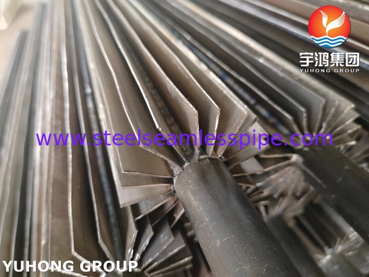 304 الأنابيب المطوية ASTM A249 U-Bend الطولية للصناعة البتروكيماوية