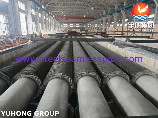 TP304H أنبوب HFW ذو ذيل متعرج من النوع ASTM A312 لنظام بخار استرداد الحرارة HRSG