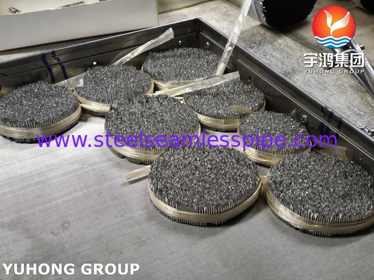 أنبوب إبرة حقن من الفولاذ المقاوم للصدأ ، ISO9626 SUS304 ، 16G إبرة بيطرية لرعاية الحيوانات