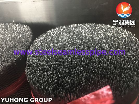 ISO7864 SUS304 أنبوب إبرة حقن ، رأس محفوف ، إبرة طبية تحت الجلد
