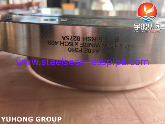 ASTM A182 F310 فليانج WNRF من الفولاذ المقاوم للصدأ