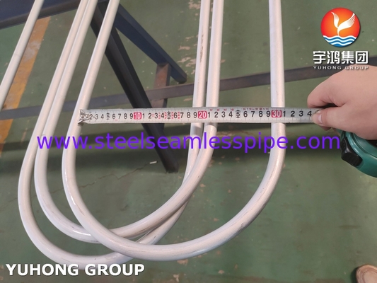محول حرارة المصفاة TP304 U Bend Tube