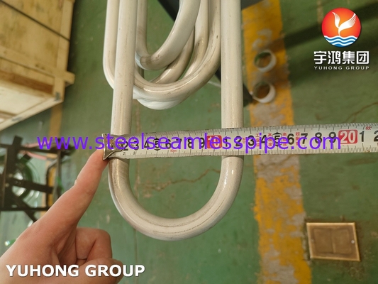 محول حرارة المصفاة TP304 U Bend Tube