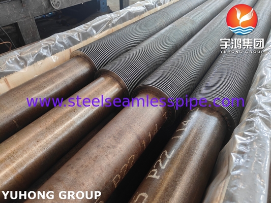 ASTM A335 P22 الأنبوب السلس من الفولاذ اللاصق مع 11-13CR HFW Fin Tube للفول الكونفيكسيون