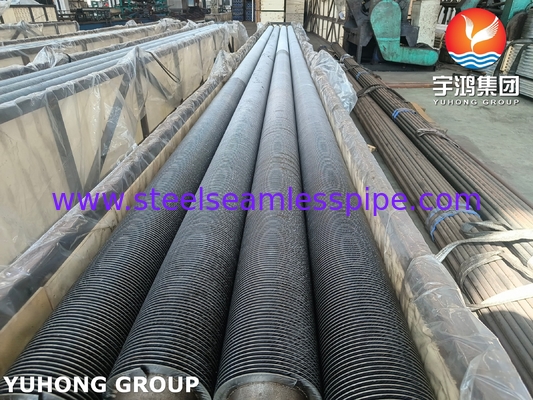 الصلب السبائك HFW عالية التردد المطاوئ أنبوب الصفراء الصلبة ASME SA213 T5 T9 T11 T12 دخان مكثف التطبيق