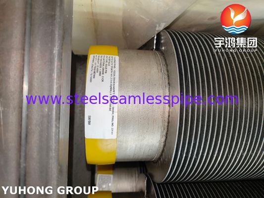 ASTM A376 TP347H الصلبة الحلزون الحلزوني عالي التردد HFW Fin Tube مع 11Cr