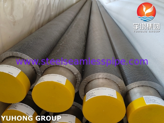 أنبوب ASTM A376 TP347H HFW الصلب لمتبادل الحرارة