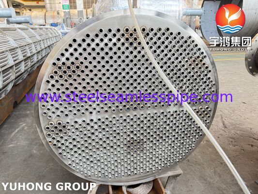 حزمة أنابيب مبادل حراري من الفولاذ المقاوم للصدأ ASME SA213 TP316L بتصميم مقاوم للتآكل كبديل مباشر