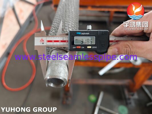 الأنبوب ذو الأطراف المتدلية ذات التردد العالي TP304H القاعدة / SS304 Fin