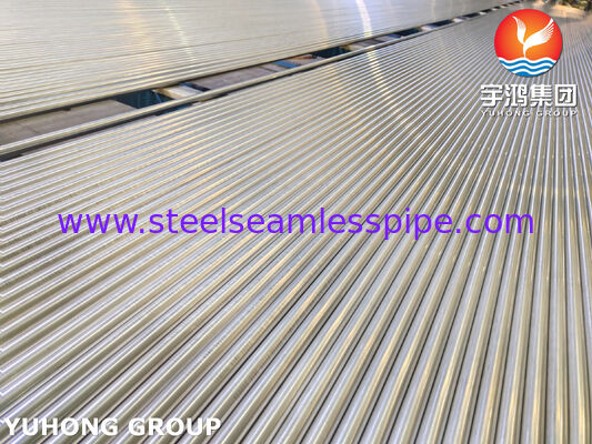 ASME SA213 TP304H Bright Annealed Stainless Steel Seamless Tube (أنبوب بلا مسام)