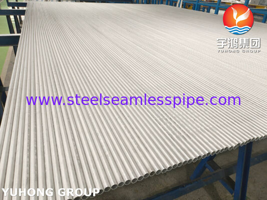 ASME SA213 TP316L الأنابيب السامة C≤0.035% لا يوجد PWHT بعد الحامدة مقاومة للتآكل بين الحبيبات للمبادل الحراري