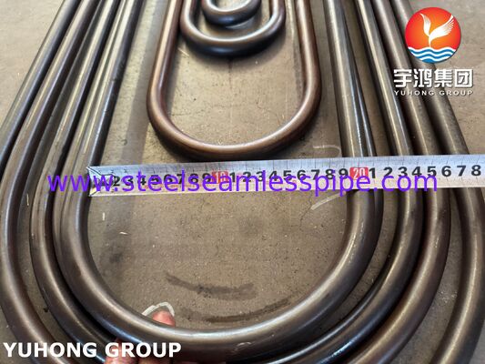 ASME SA213 T11 أنبوب فولاذ سبائك بلا خيوط للدخان والحرارة العالية