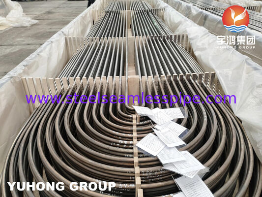 ASTM A213 TP316L Seamless U Bend Tube for Shell & Tube Heat Exchangers