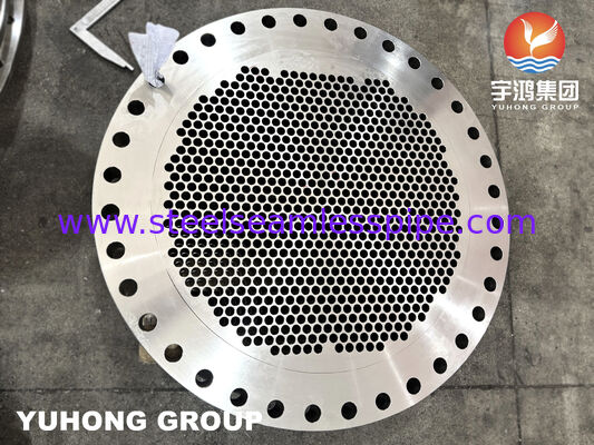 ASTM A182 F316L أوراق أنابيب مزورة من الفولاذ المقاوم للصدأ مع ثقوب أنابيب معدة بدقة لمبادلات الحرارة