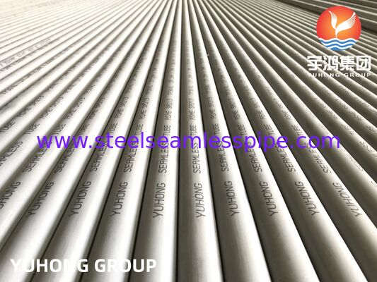 ASTM A213 TP304L أنابيب الفولاذ المقاوم للصدأ غير الملحومة للمبادلات الحرارية الكيميائية