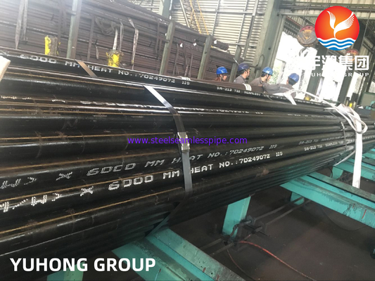ASTM A213 ، ASME SA213 T11 الغلاية الفولاذية السامة ، أنابيب الارتفاع لـ Superheater