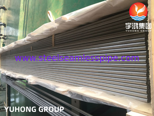 ASTM A213/ ASME SA213 TP317/ TP317L/TP317LMN الأنبوب الخام من الفولاذ المقاوم للصدأ