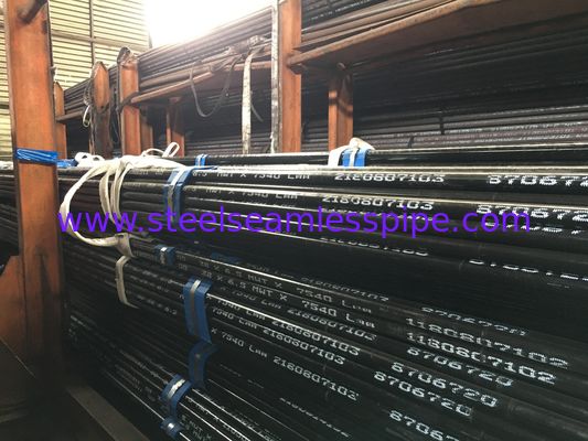 SA213 / A213 أنابيب الصلب غير الملحومة أنابيب T11 T22 T23 T5 T9 T91 مبادل حراري